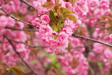 徐州贾汪区6线下个人借款平台一站式服务，轻松解决资金难题