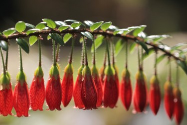 徐州贾汪区6零用贷短借：轻松解决临时资金需求