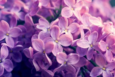 徐州贾汪区6企业急用钱贷款攻略：快速融资解燃眉之急